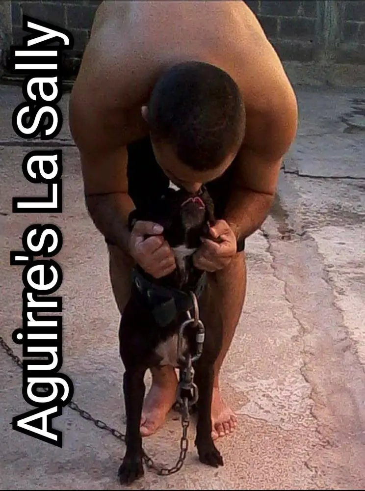 Aguirre's Sally RIP