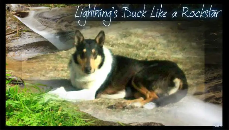 Lightning's Buck Like A Rockstar