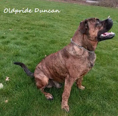 Oldpride Duncan