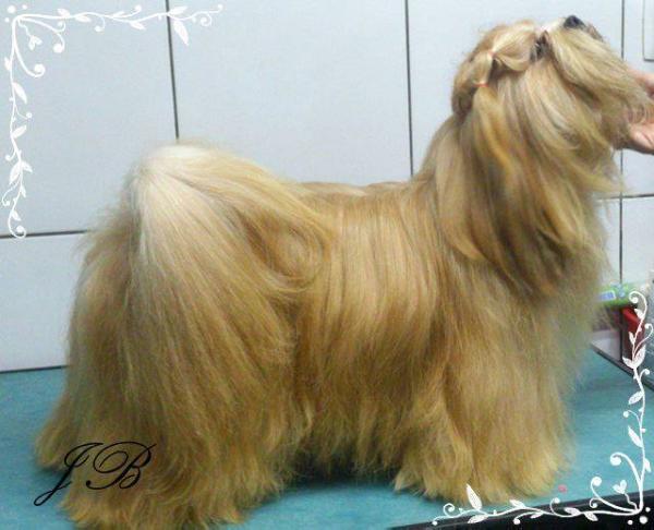 Jose Bonifacio Lhasa Mares de Mel