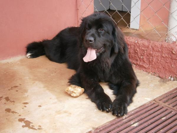 Luanna of Anjos do Orypaba