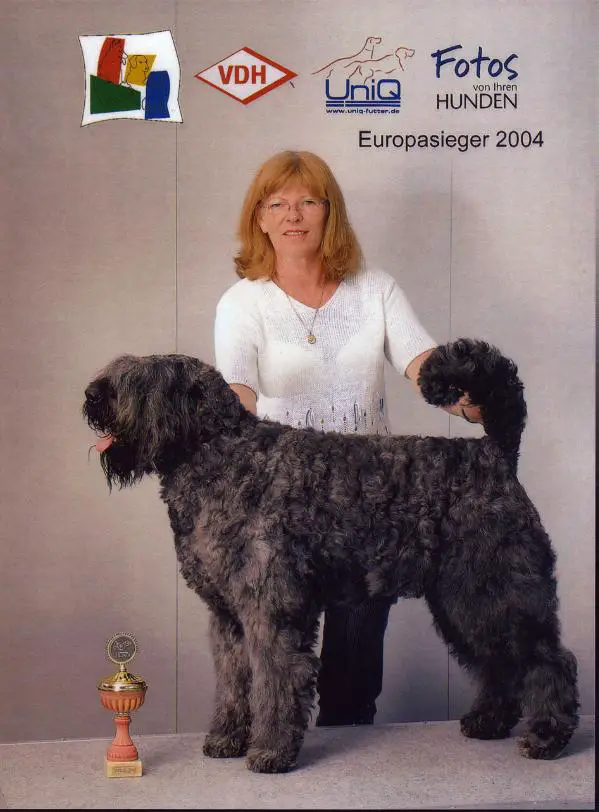 Lennox Damon v. Bouvier Topline