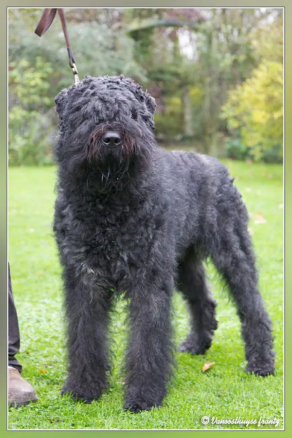 GHEB de la plaine des flandres