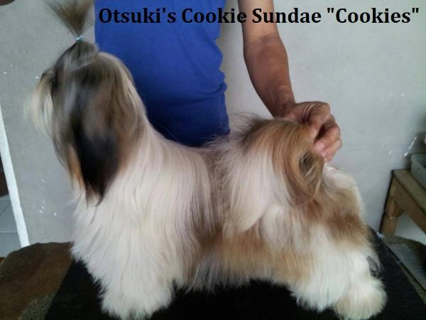 Otsuki's Cookie Sundae