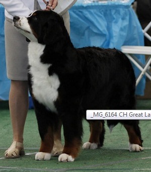 Great Lakes  Nubian Princess