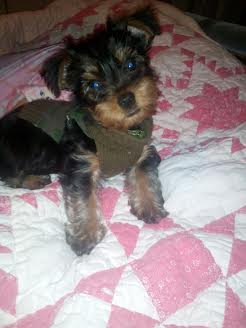 Willie Theodore Jaxson Overton