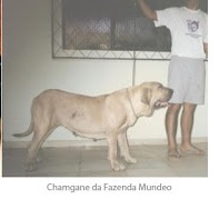 Champanhe da fazenda mundeo