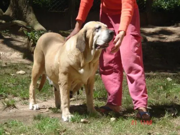 ELLE DO BORGHETTO