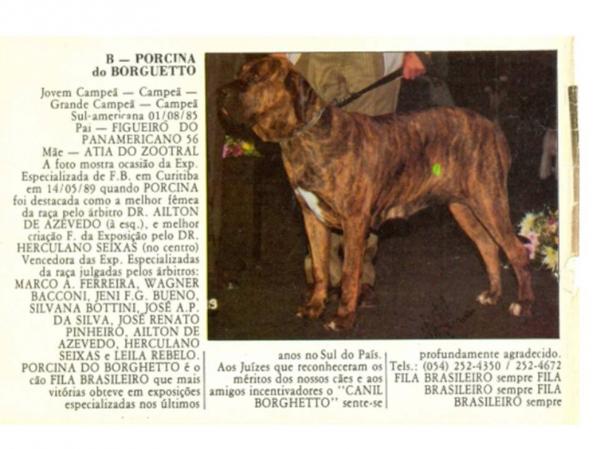 PORCINA DO BORGHETTO