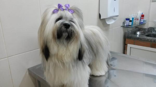 RMoretto Cane Kyra