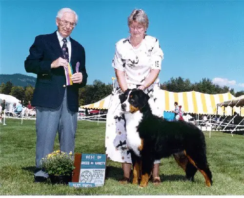 Peacefield  SouthWind´s Silk