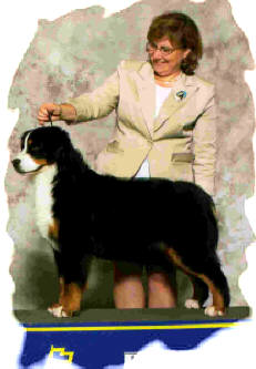 Tallpine's Pawsitive I D