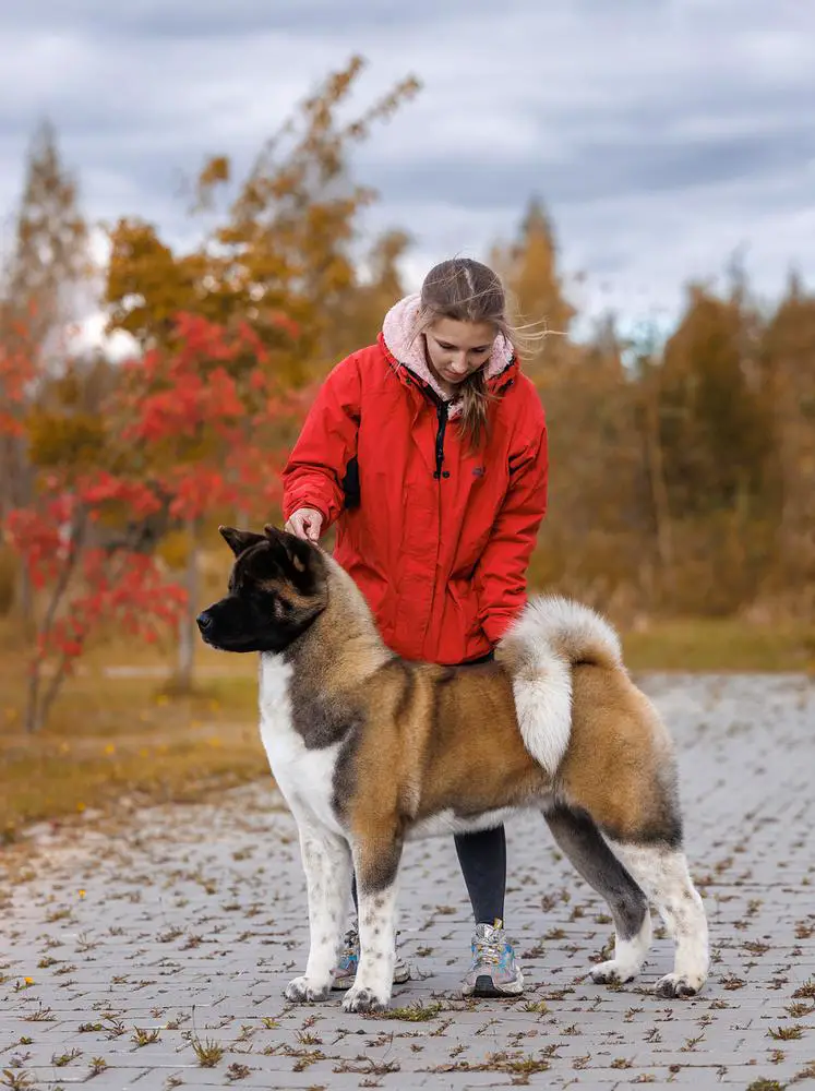 Beautiful Miracle Fleksiya