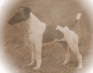 Pontiy pilat