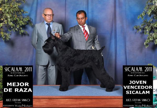Belrod canarias venus