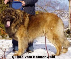 Quinto v. Nonnenwald