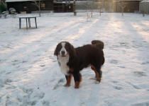 Clay Corner's Zelie
