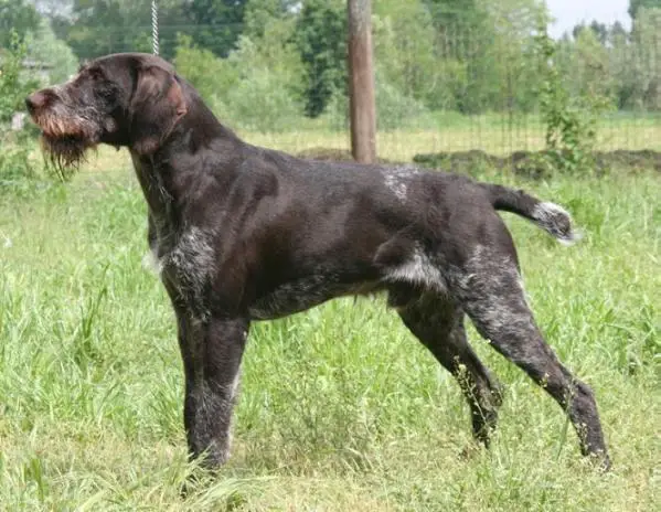 LUCHS III vd WUPPERAUE