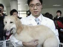 Jessica (DNA Doner) South Korea