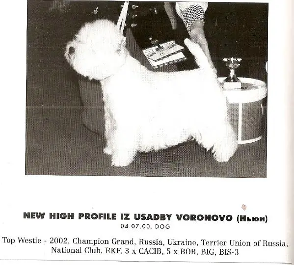 New High Profile iz Usadby Voronovo