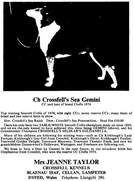 Crossfell's Sea Gemini