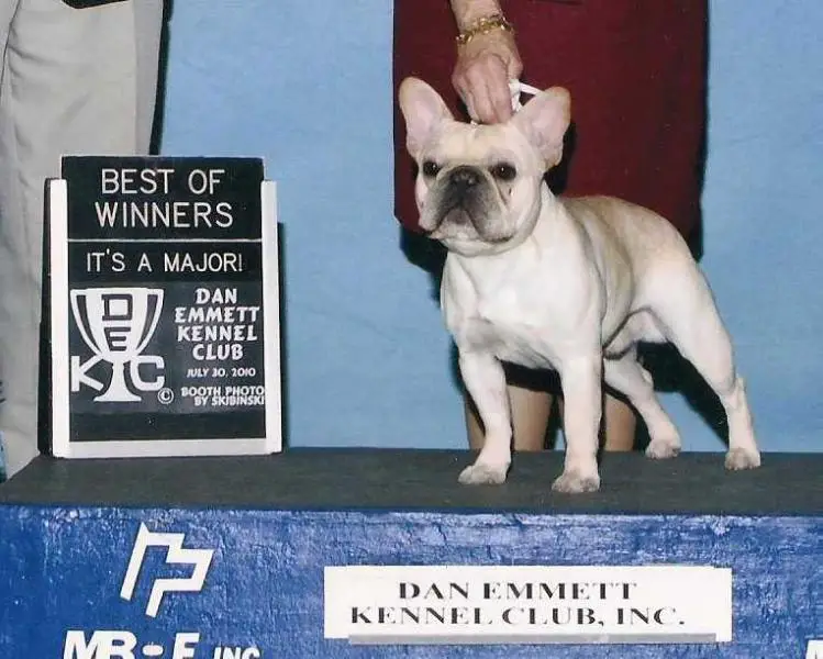 Mobulls Sam N Sawyers Final Copy