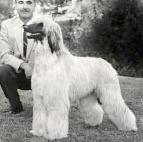 Bletchingley Sahari Of Scheherezade