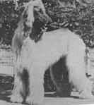 Rajah Of Namtrah