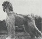 Turalanah Tajah