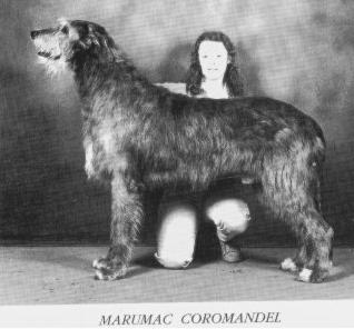 Marumac Coromandel