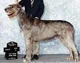 Wolfhouse Mythicay