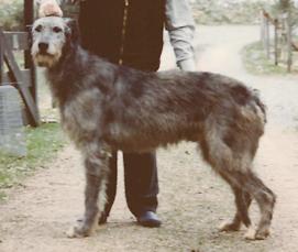 Oelmühle Anton