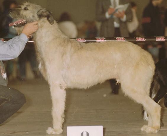 Zimba von der Oelmühle