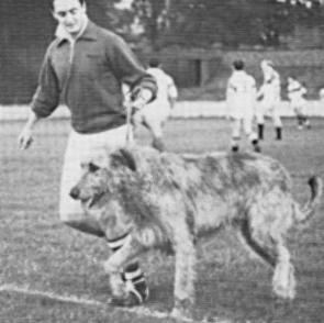 MonteBello Prince of Boroughbury