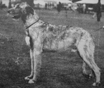 Sulhamstead Max