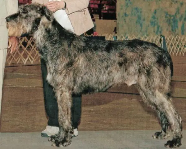 Taryn Parson of Pern
