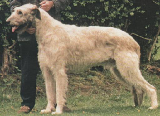 Killykeen Ian Lyons