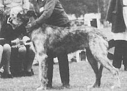 Clodagh of Eaglescrag