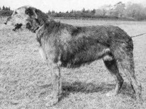 Sulhamstead Melba