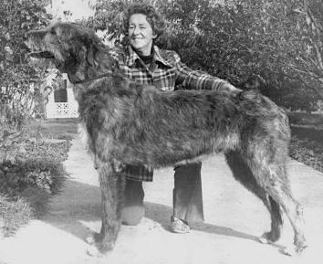 Erindale Grand Duchess