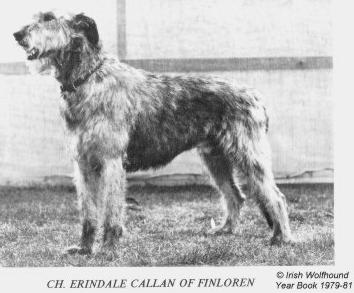Erindale Callan of Finloren