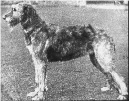 Iduna of Hindhead