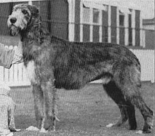 Hydebeck Reginald Snuffson