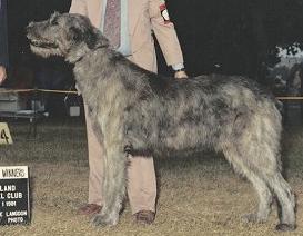 Erindale Beauchamp of Triston