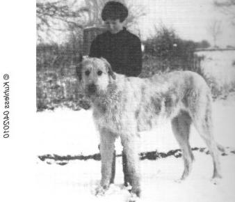 Ballykelly O'Flynn