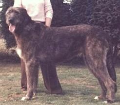 Marnie of Erindale