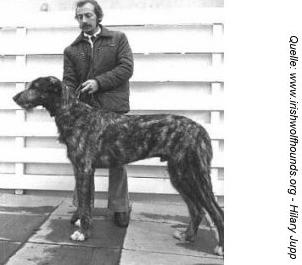 Sulhamstead Master