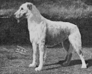 Bridget of Ballygran