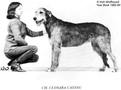Clonara Cassnu