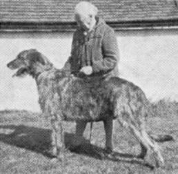 Sulhamstead Minstrel